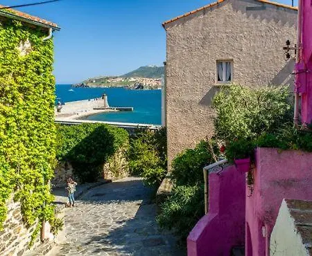 App' Art Centre + Parking Gratuit * Collioure